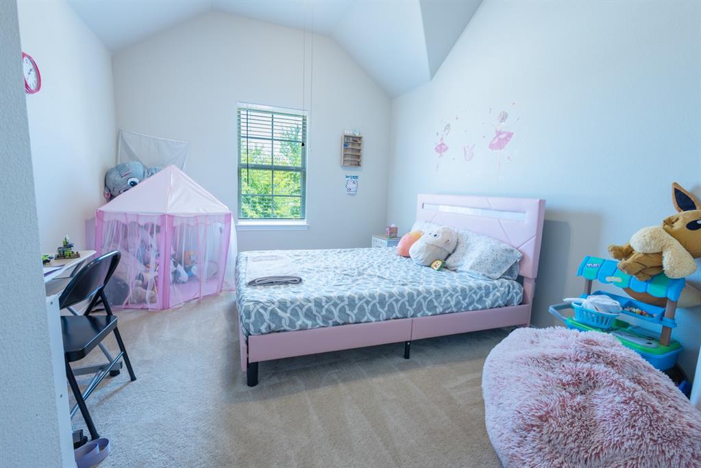 2541 Canary Grass Lane Property Photo 28