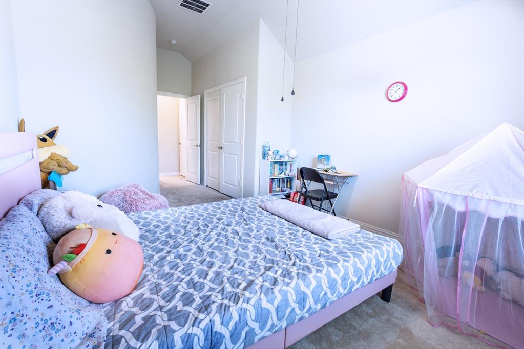 2541 Canary Grass Lane Property Photo 29