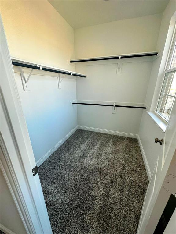 3120 Lucia Way Property Photo 18