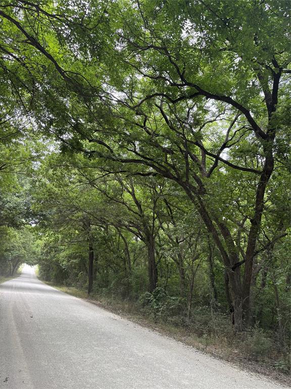 23.5 Ac Tbd County Road 440 Property Photo 12