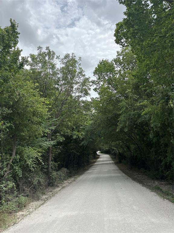 23.5 Ac Tbd County Road 440 Property Photo 13