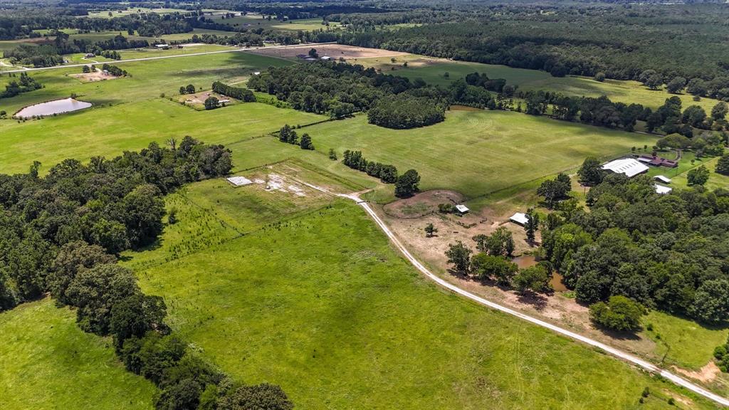 Tbd County Road 235 Property Photo 4