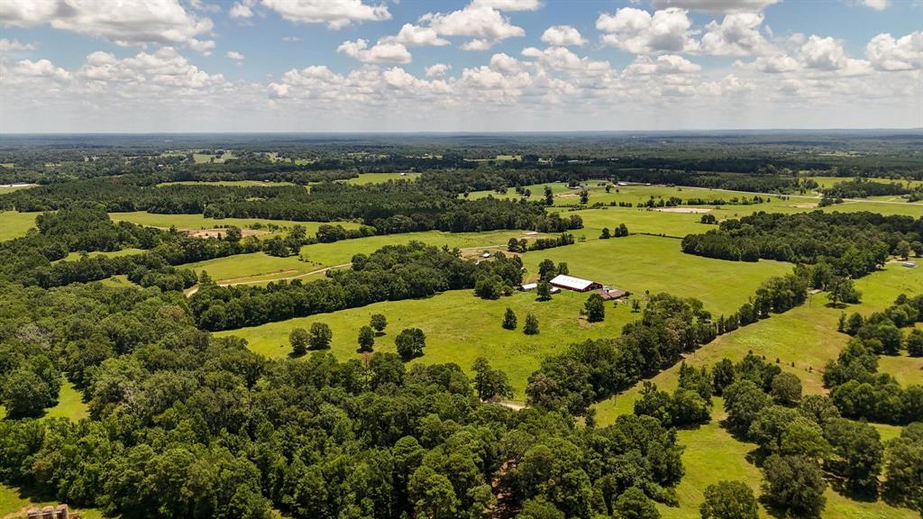 Tbd County Road 235 Property Photo 6