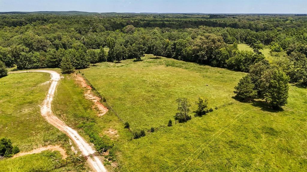 Tbd County Road 235 Property Photo 7
