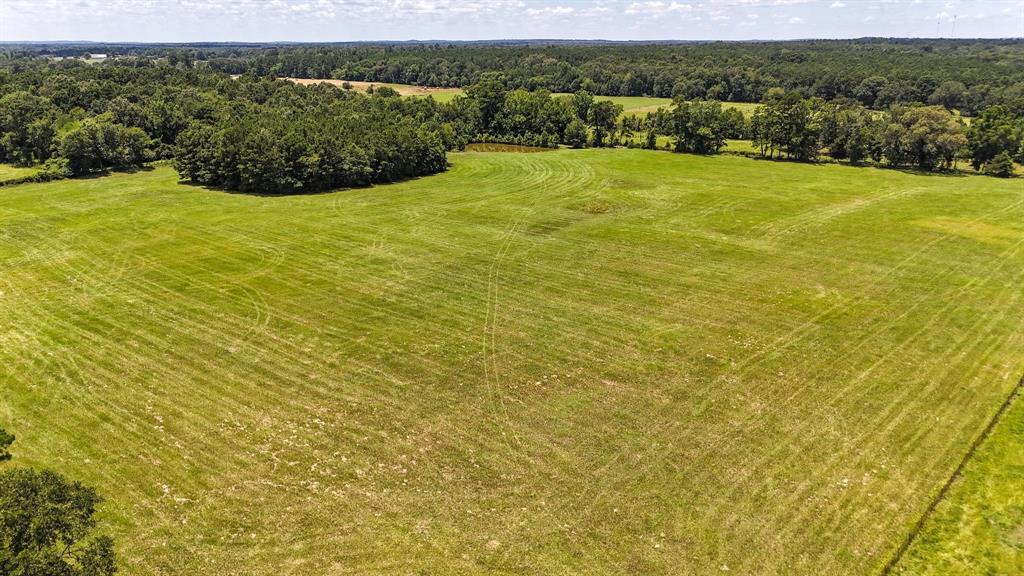 Tbd County Road 235 Property Photo 8