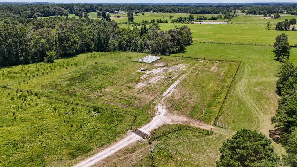 Tbd County Road 235 Property Photo 9