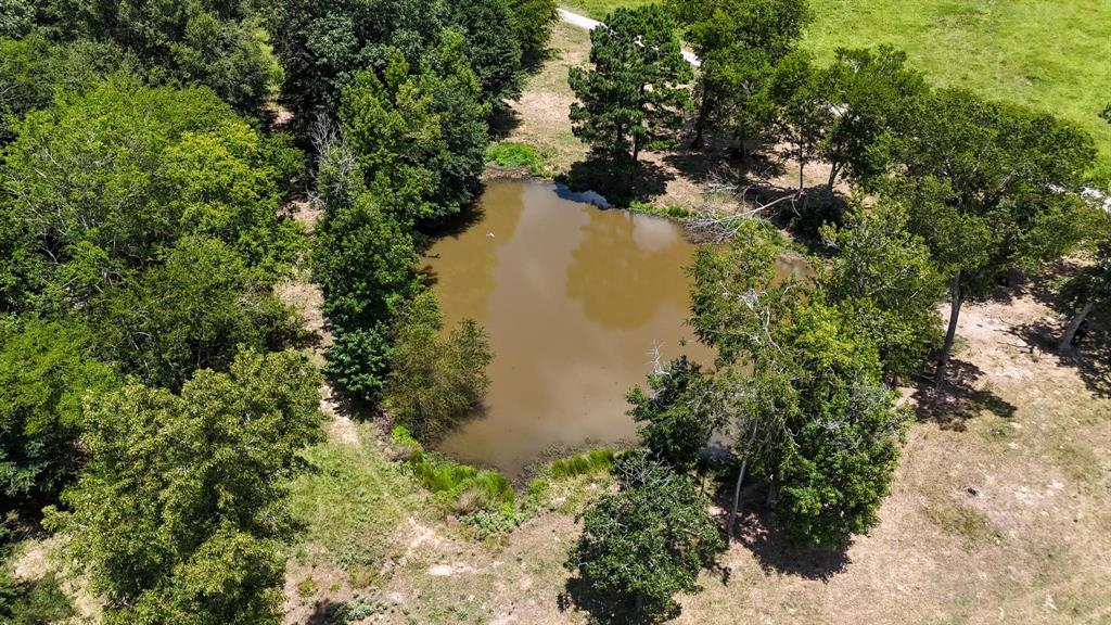 Tbd County Road 235 Property Photo 11