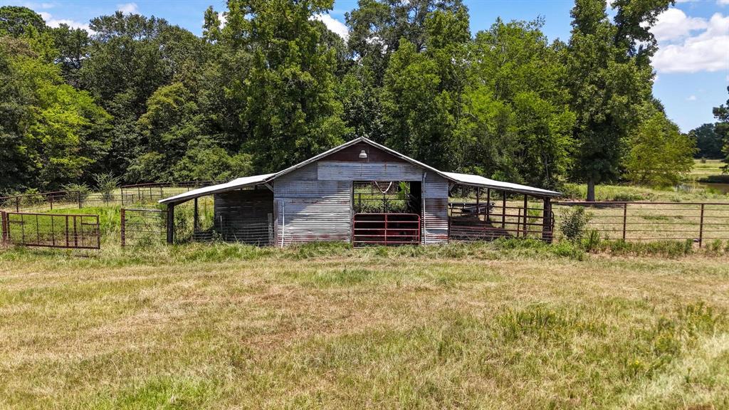 Tbd County Road 235 Property Photo 14