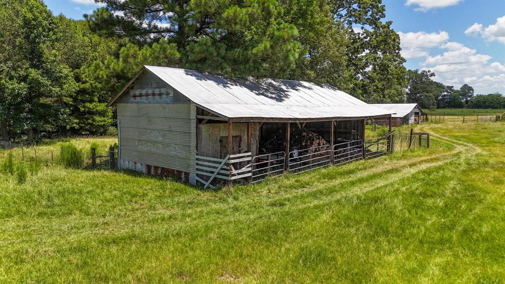 Tbd County Road 235 Property Photo 16