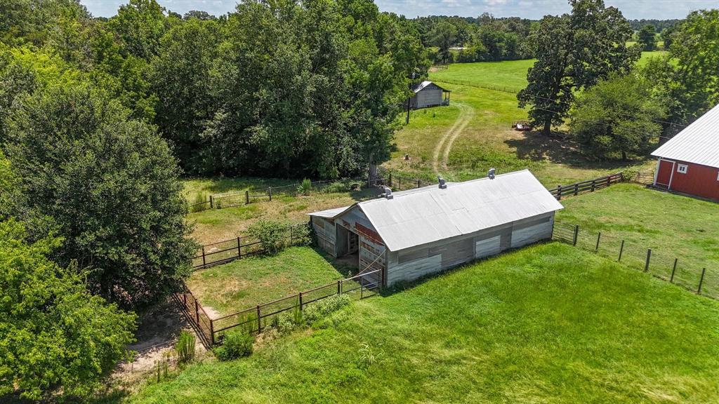 Tbd County Road 235 Property Photo 17