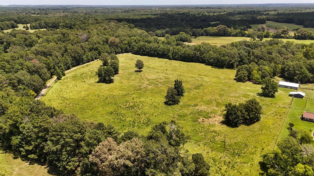 Tbd County Road 235 Property Photo 19
