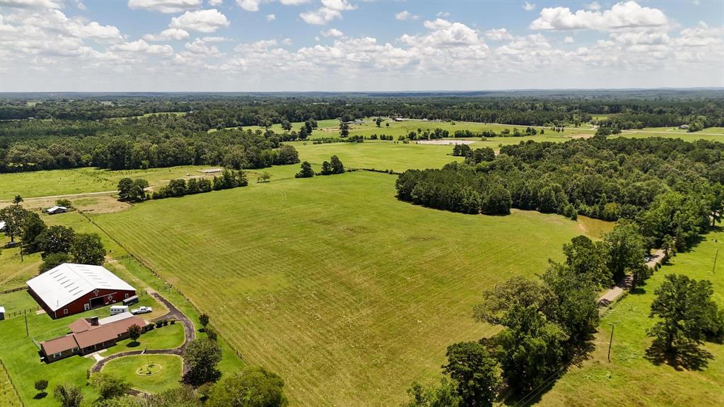 Tbd County Road 235 Property Photo 20