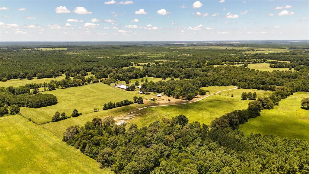 Tbd County Road 235 Property Photo 23