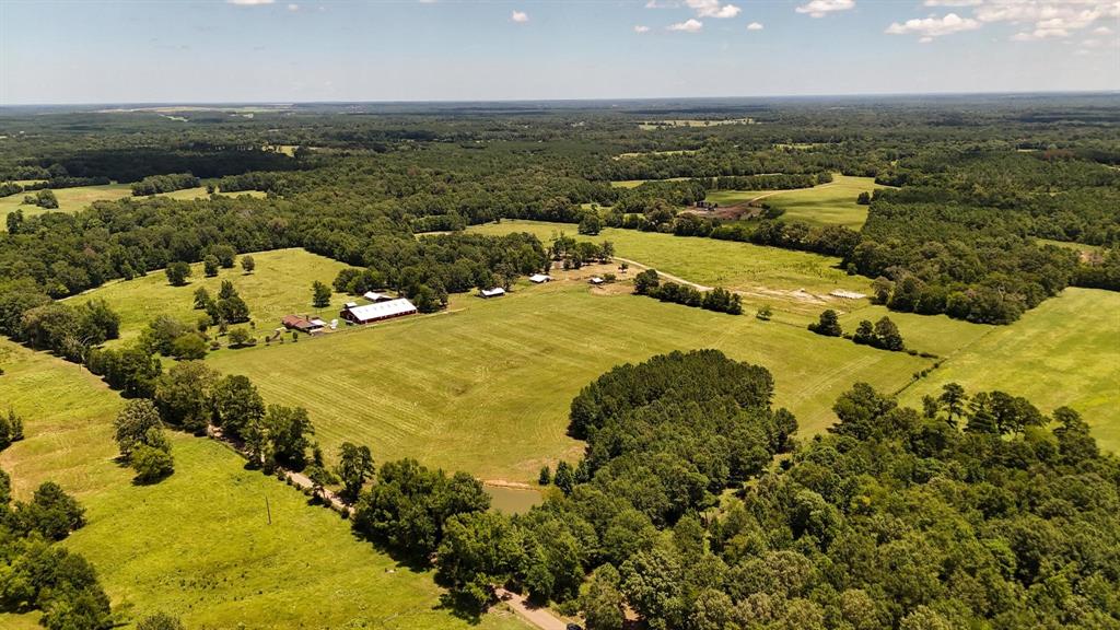 Tbd County Road 235 Property Photo 25