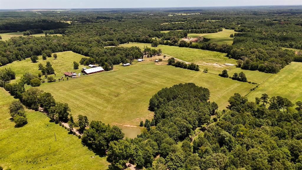 Tbd County Road 235 Property Photo 26