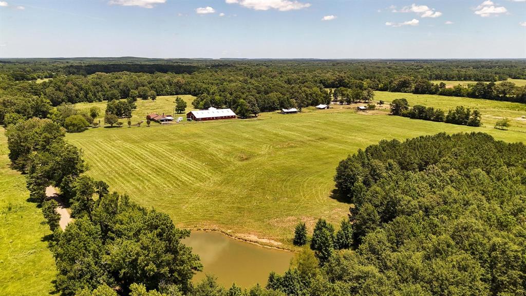 Tbd County Road 235 Property Photo 27