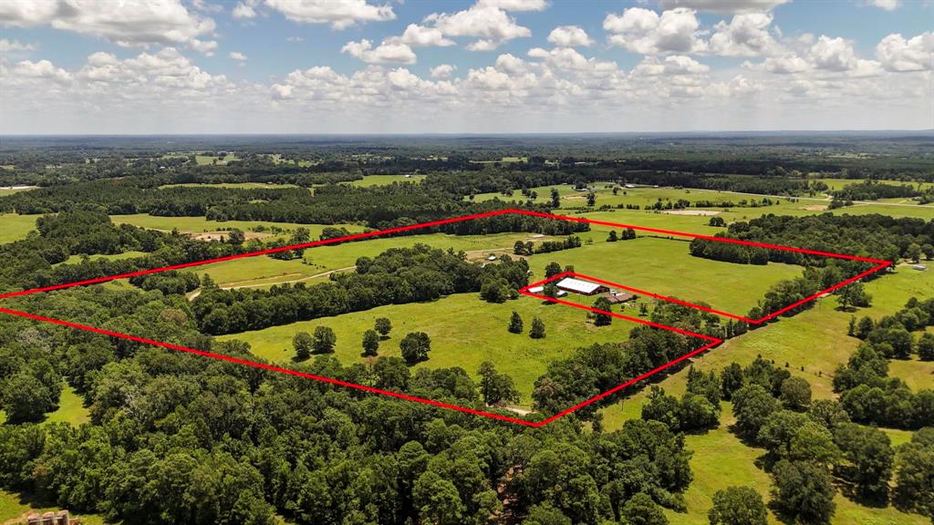 Tbd County Road 235 Property Photo 29