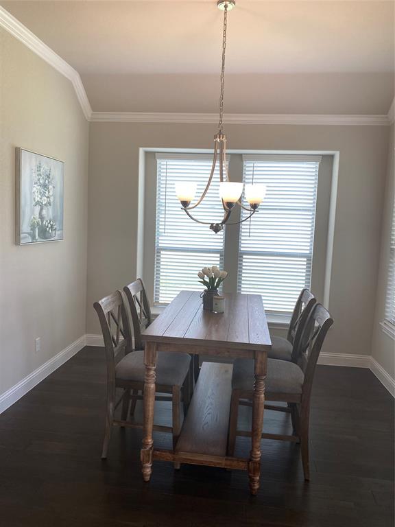 209 Johnson Street Property Photo 14