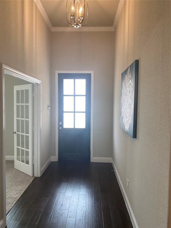 209 Johnson Street Property Photo 16
