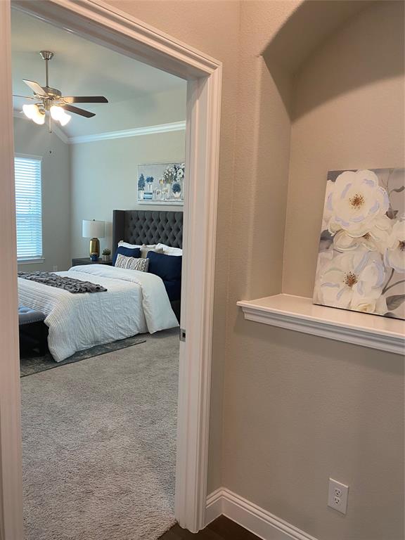 209 Johnson Street Property Photo 21