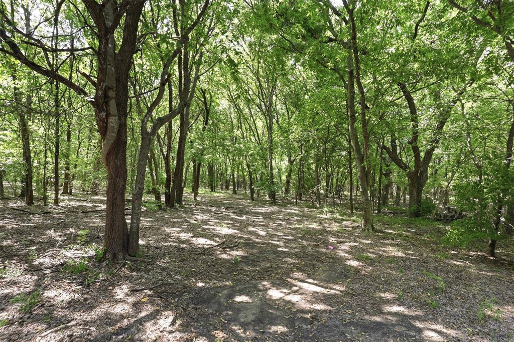 4111 Fm 2862 Property Photo 31