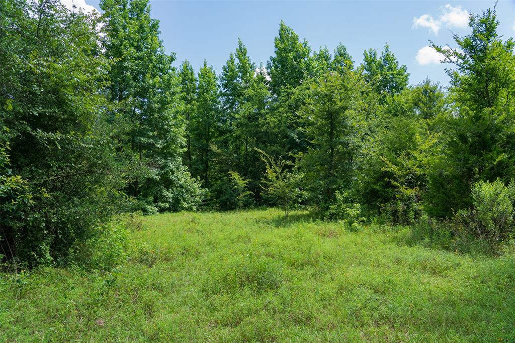0 Cr 3154 Property Photo 6