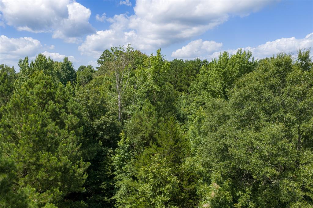 0 Cr 3154 Property Photo 10