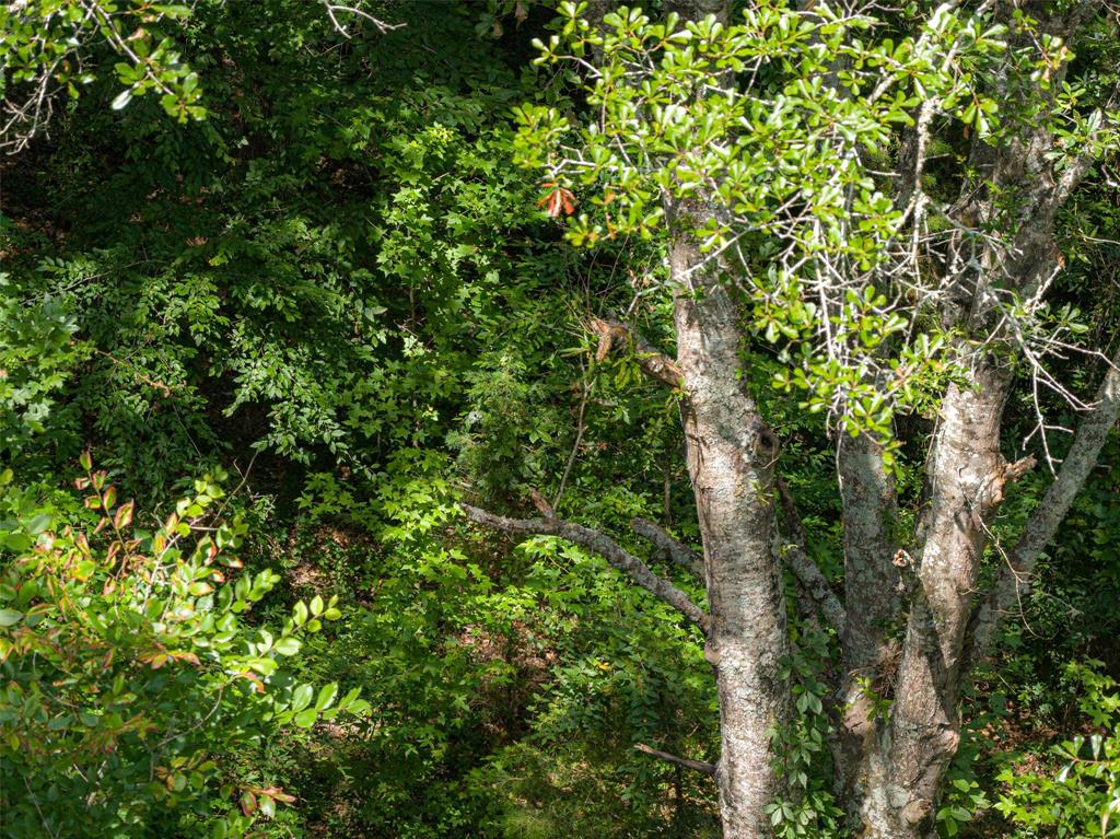 0 Cr 3154 Property Photo 12