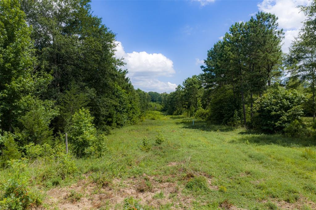 0 Cr 3154 Property Photo 13