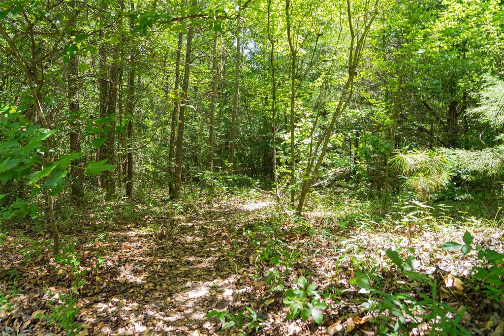 0 Cr 3154 Property Photo 15