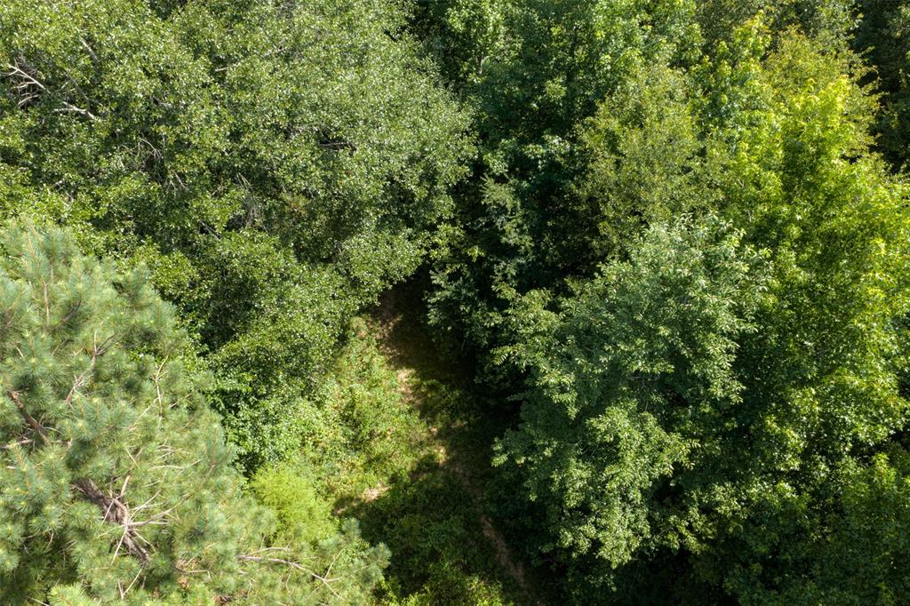 0 Cr 3154 Property Photo 17