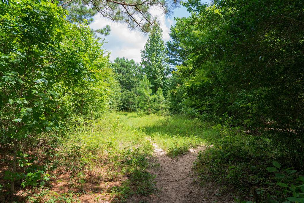 0 Cr 3154 Property Photo 20