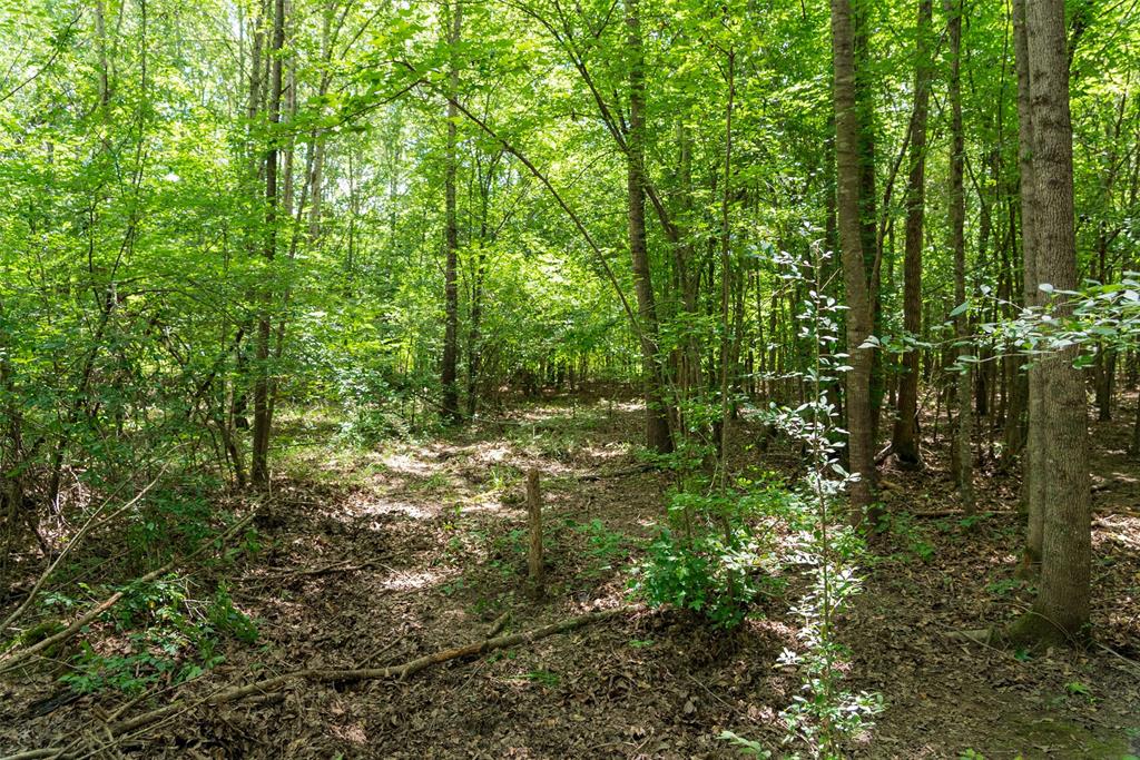 0 Cr 3154 Property Photo 22