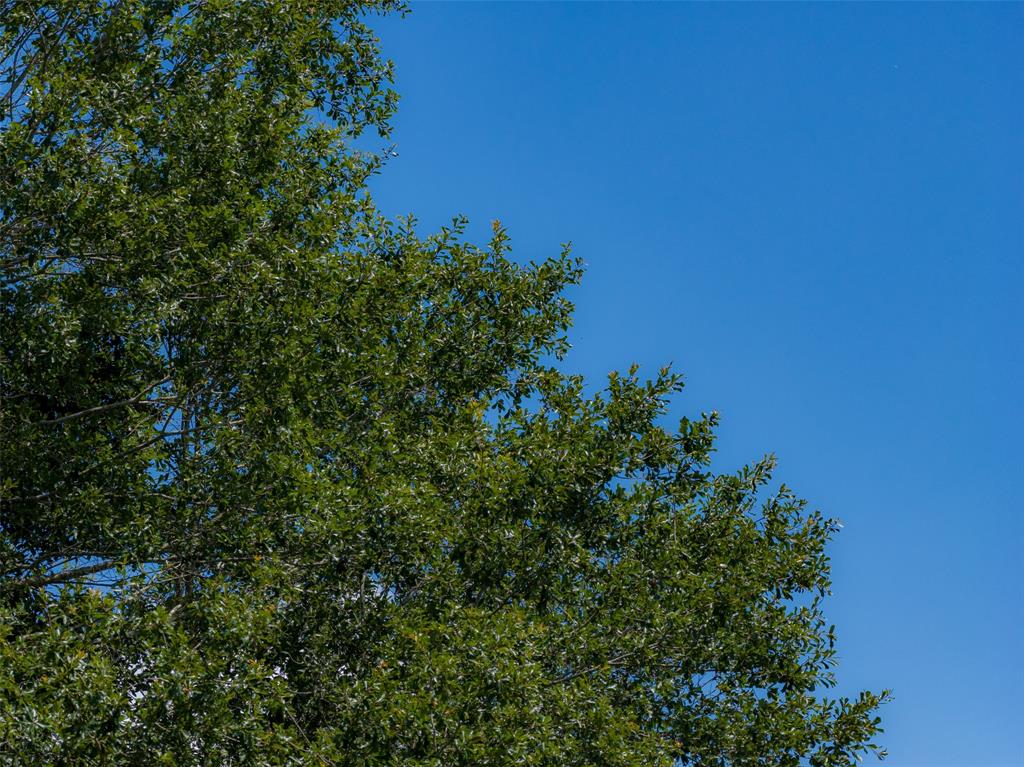 0 Cr 3154 Property Photo 24
