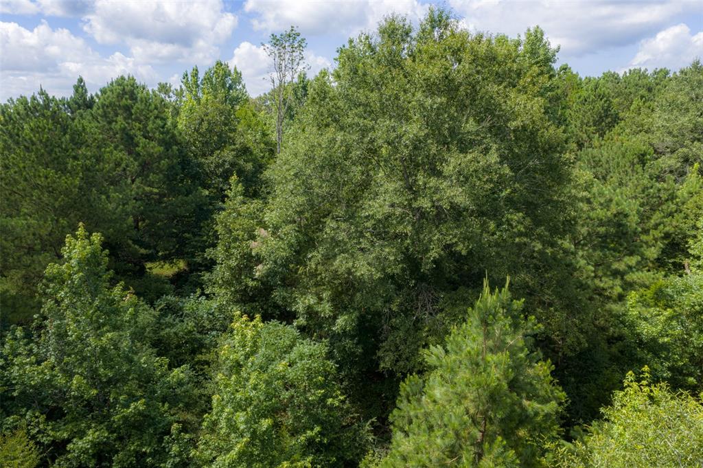 0 Cr 3154 Property Photo 28