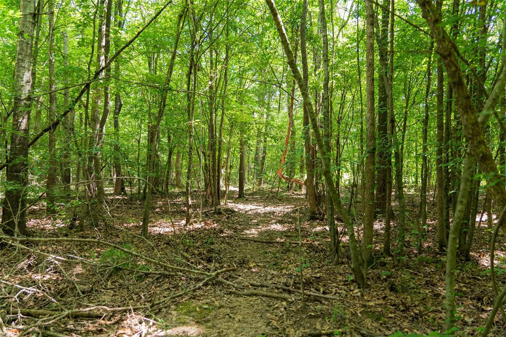 0 Cr 3154 Property Photo 34
