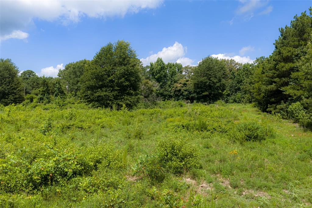 0 Cr 3154 Property Photo 38