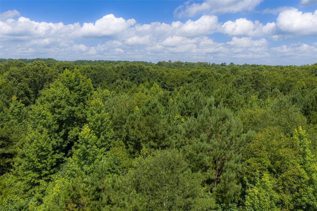 0 Cr 3154 Property Photo 39