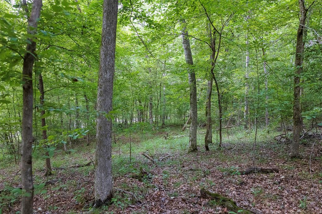 00 County Road 950 Property Photo 7