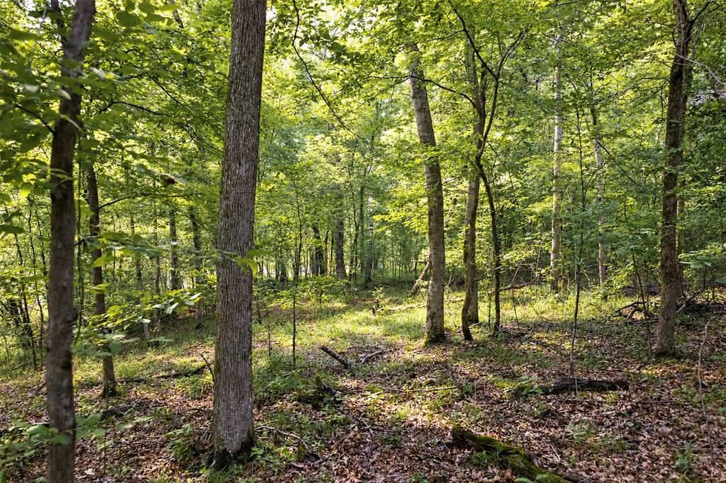00 County Road 950 Property Photo 7