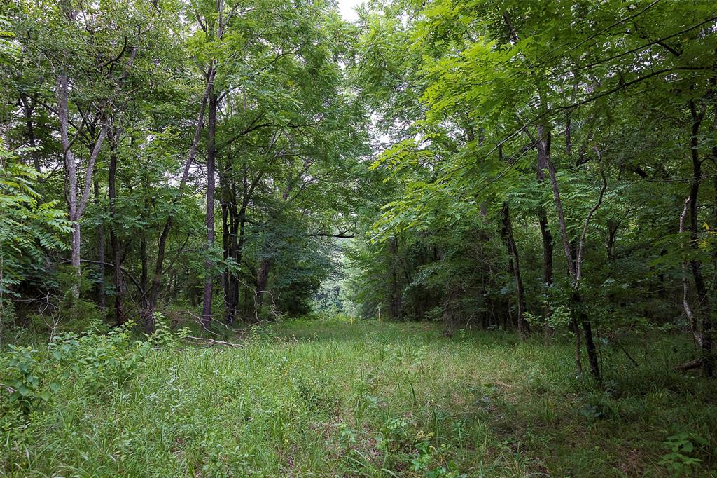 00 County Road 950 Property Photo 8