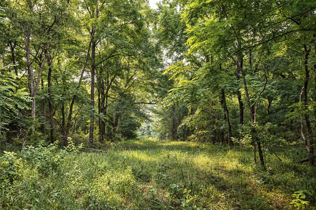 00 County Road 950 Property Photo 8