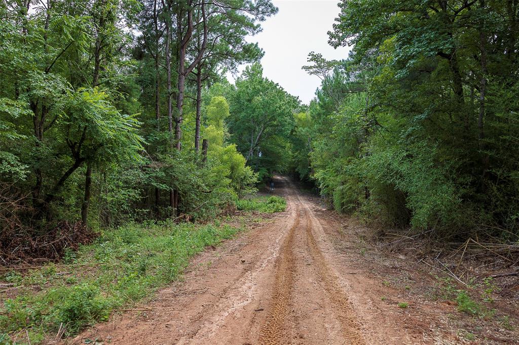 00 County Road 950 Property Photo 23