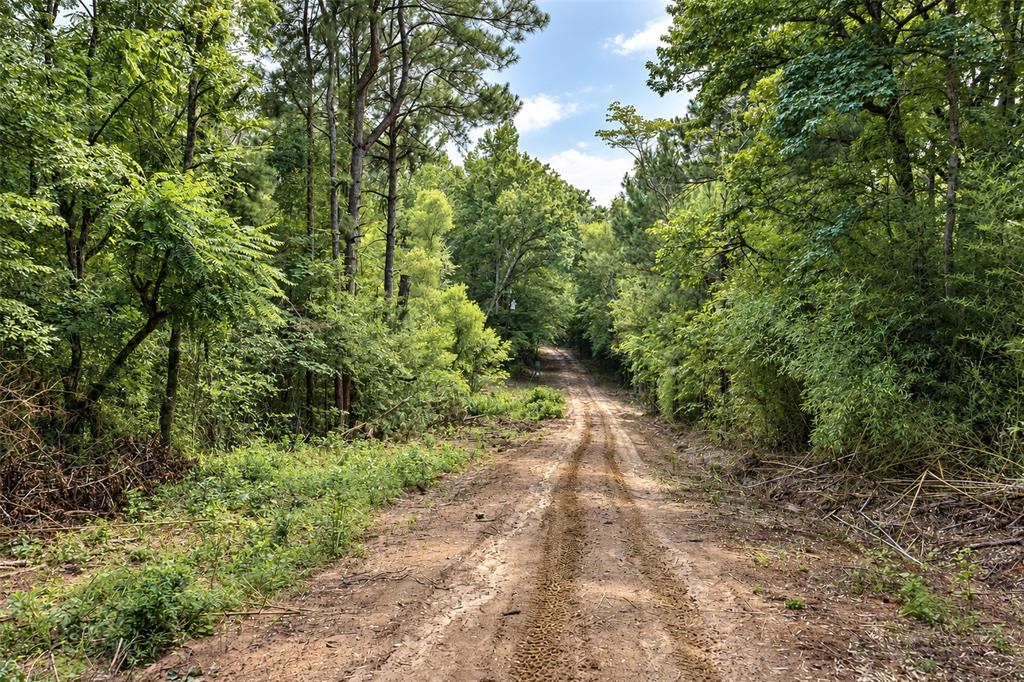 00 County Road 950 Property Photo 23