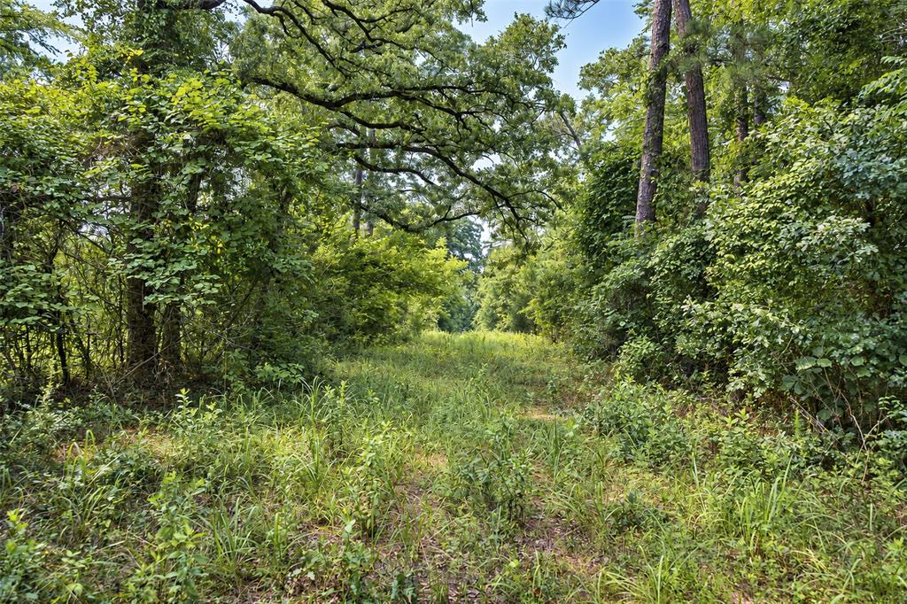00 County Road 950 Property Photo 24