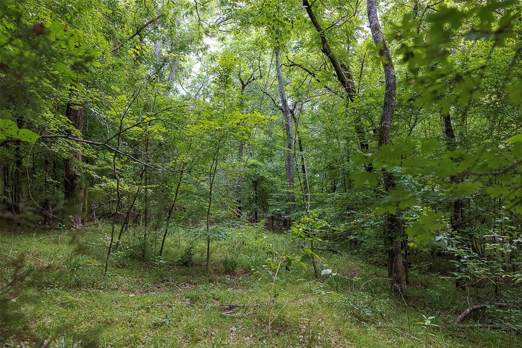 00 County Road 950 Property Photo 26