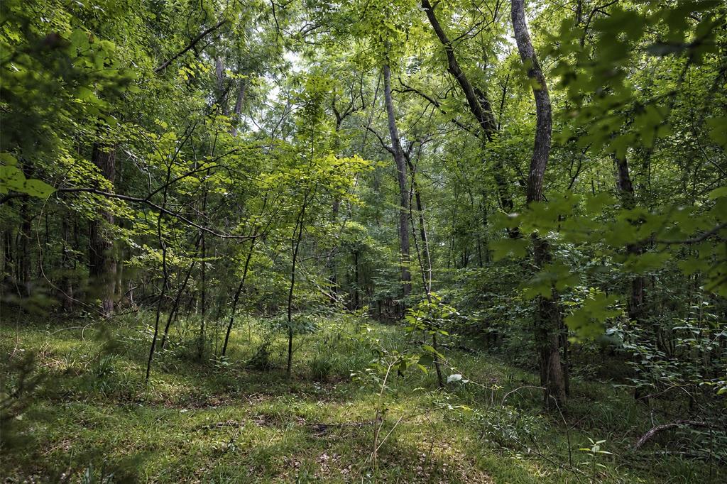 00 County Road 950 Property Photo 26