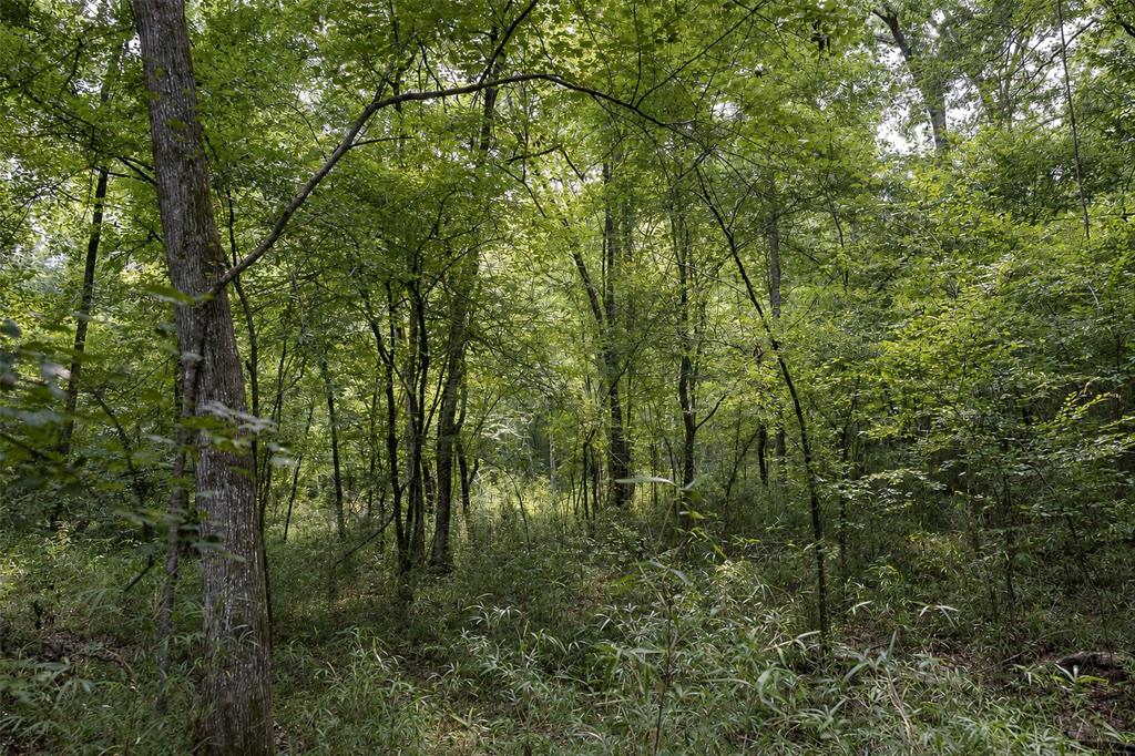 00 County Road 950 Property Photo 28