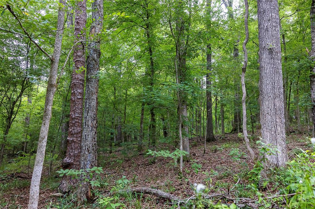 00 County Road 950 Property Photo 31