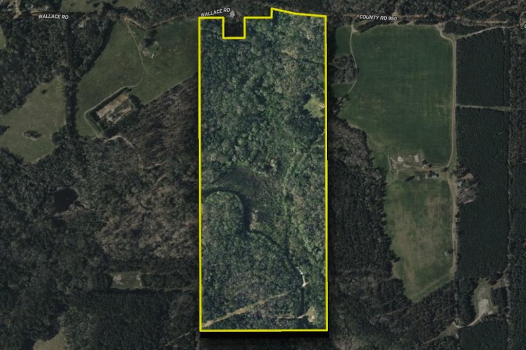 00 County Road 950 Property Photo 35